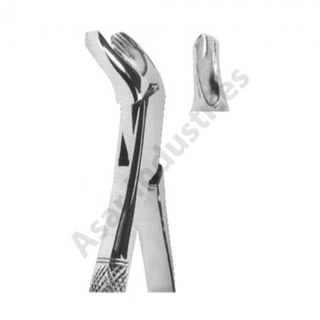 Extracting Forceps American