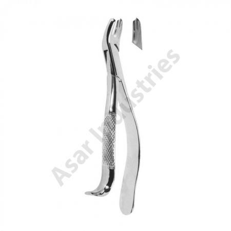 Extracting Forceps American